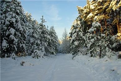 《装甲核心6》媒体赞誉宣传片：“机甲游戏杰作”