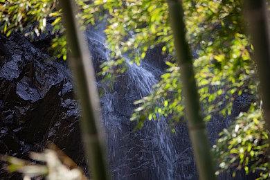 R星招聘安全调查分析师 防止《GTA6》泄密再次发生